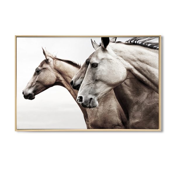 Majestic Wild Horses - Image 2