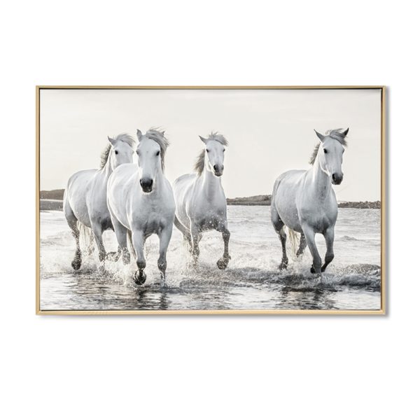 White Wild Horses - Image 2